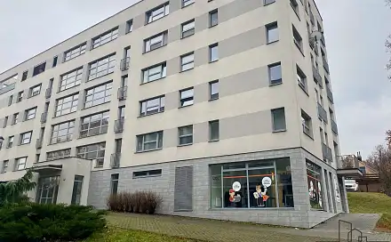 Pronájem bytu 1+kk 42 m², Březnická, Zlín