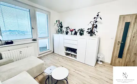 Pronájem bytu 1+1 35 m²