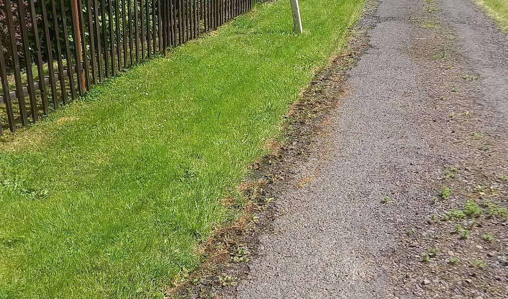 Prodej stavebního pozemku 1 800 m², Staré Křečany – náhled fotky 5