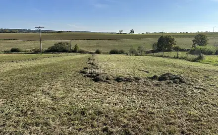 Prodej stavebního pozemku 1 244 m², Černokostelecká, Černé Voděrady, okres Praha-východ