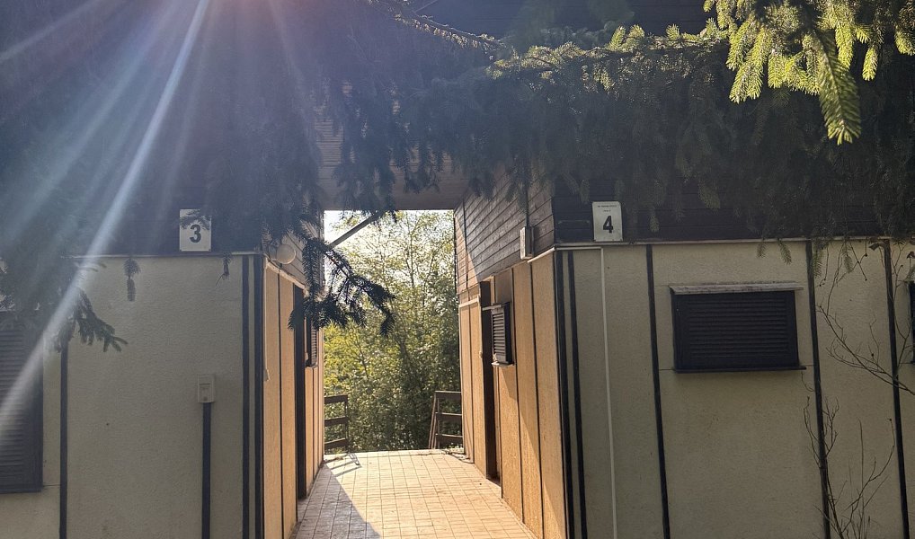 Prodej chaty/chalupy 180 m² s pozemkem 894 m², Račice – náhled fotky 11
