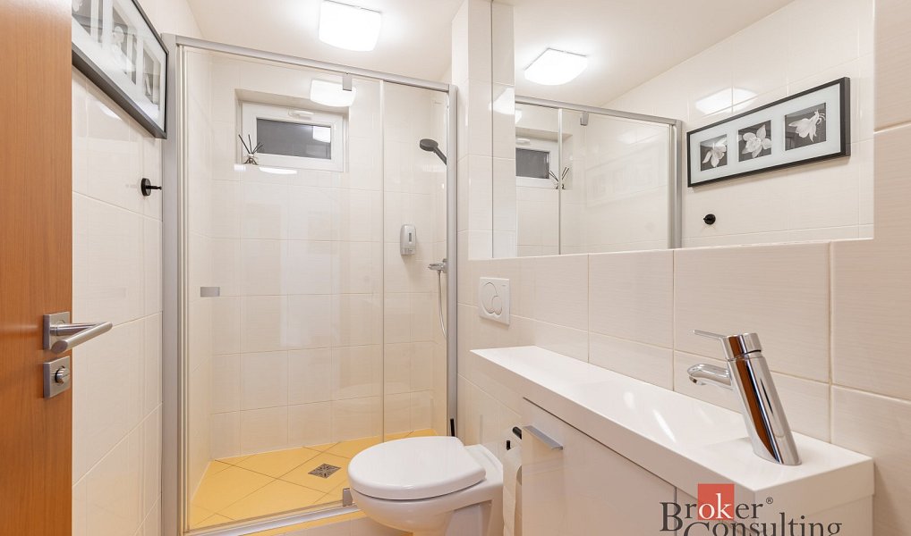Prodej domu 165 m² s pozemkem 520 m², Kobylnice – náhled fotky 16