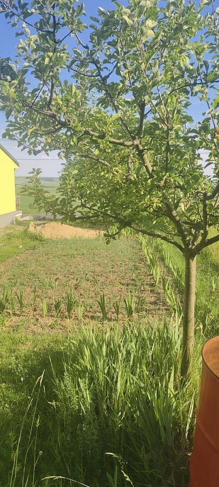 Prodej stavebního pozemku 2 431 m²