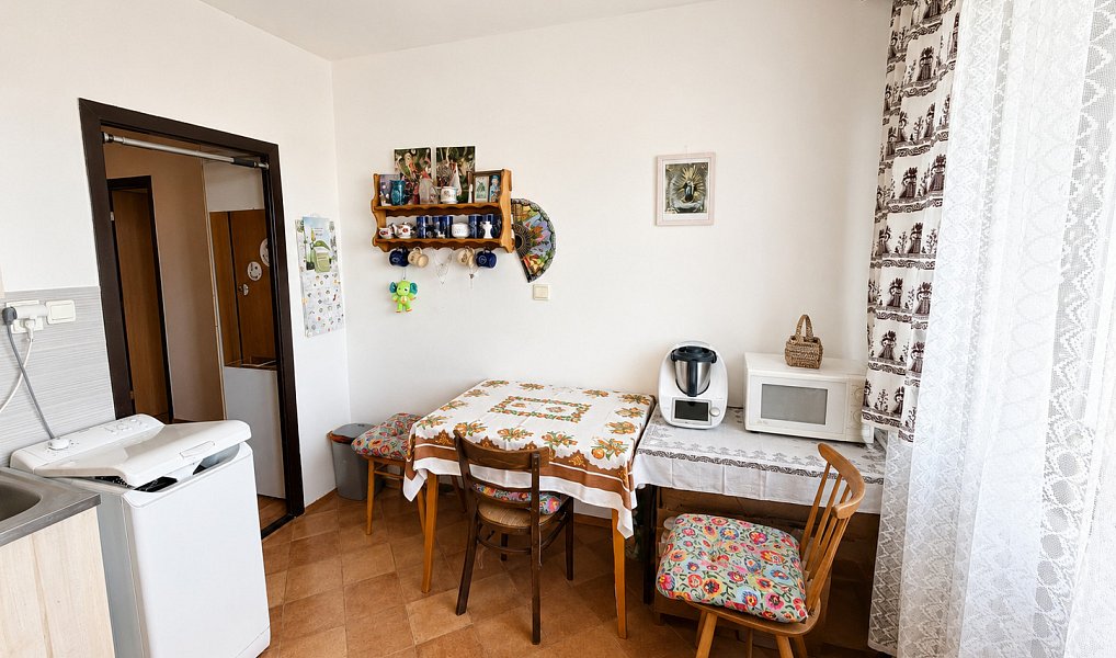Prodej bytu 1+1 45 m², Brno – náhled fotky 6