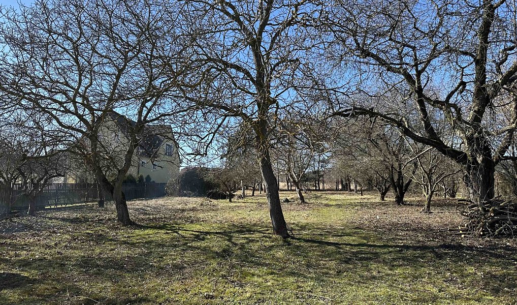 Prodej stavebního pozemku 1 472 m², Pičín – náhled fotky 11