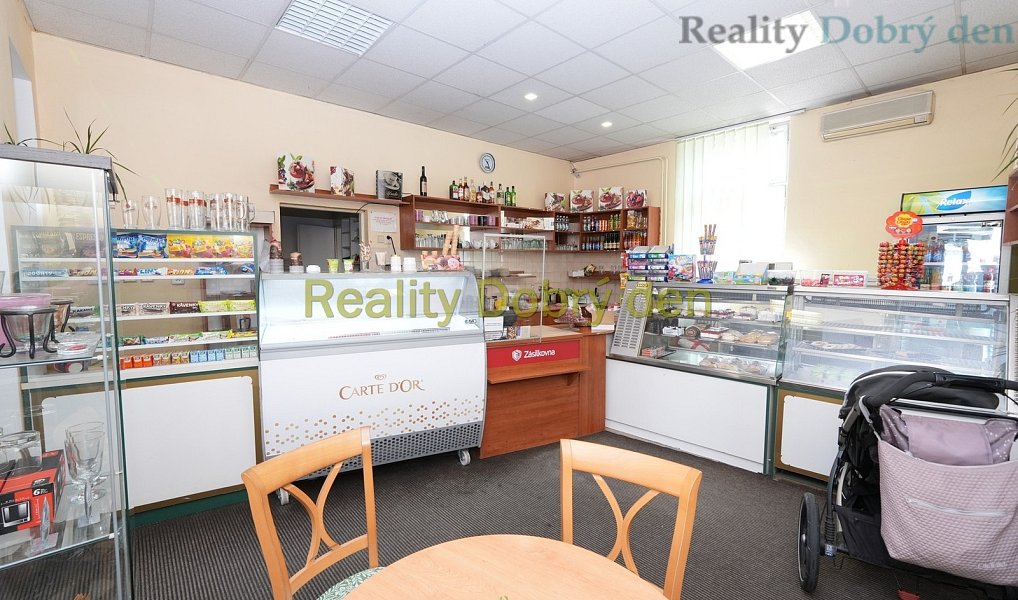 Pronájem obchodních prostor 117 m², Opava – náhled fotky 15