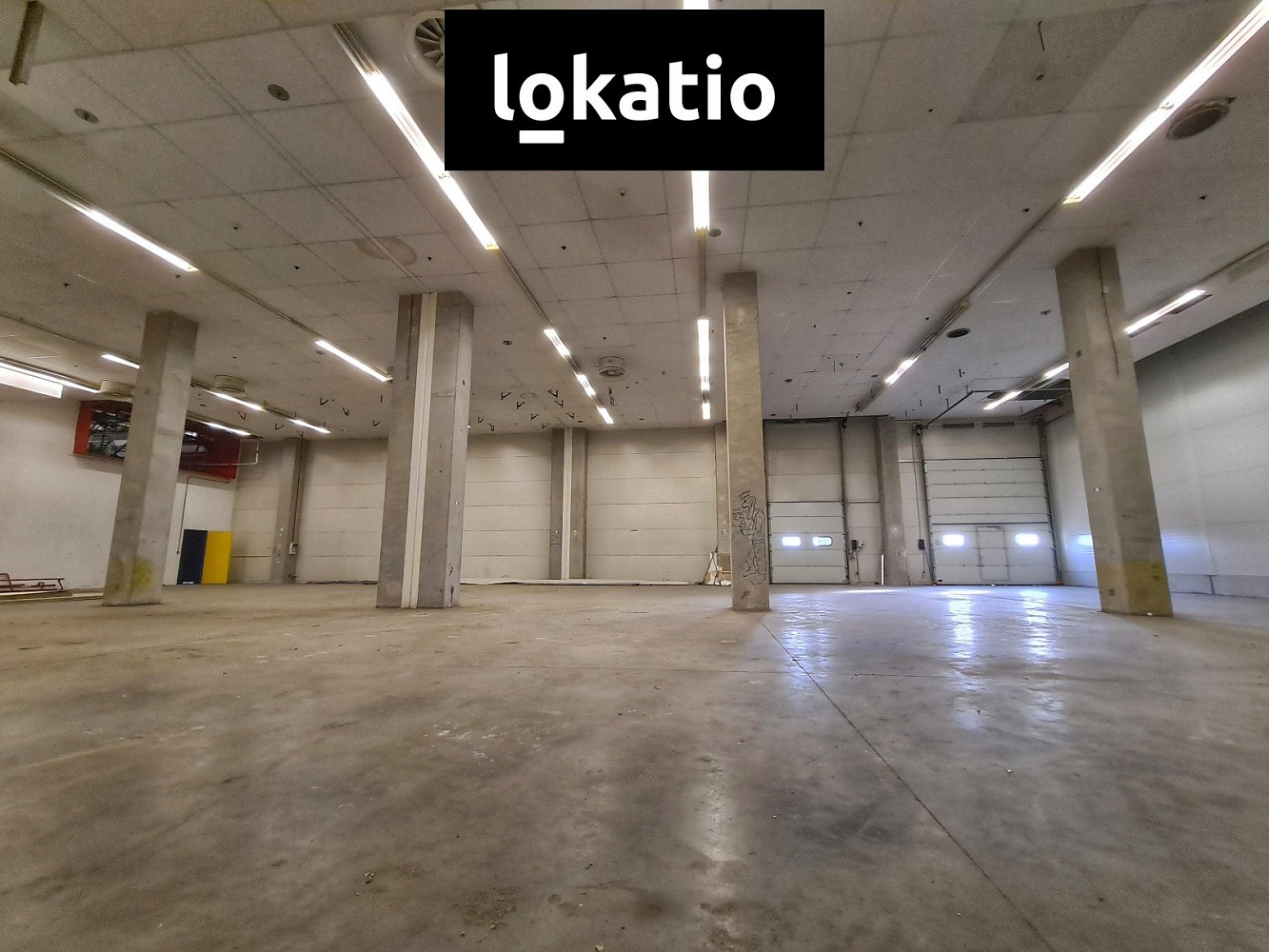Pronájem skladovacích prostor 1 579 m² — photo 5