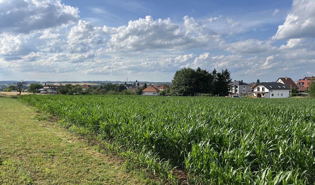 Prodej stavebního pozemku 4 468 m², Velká Bíteš – náhled fotky 11