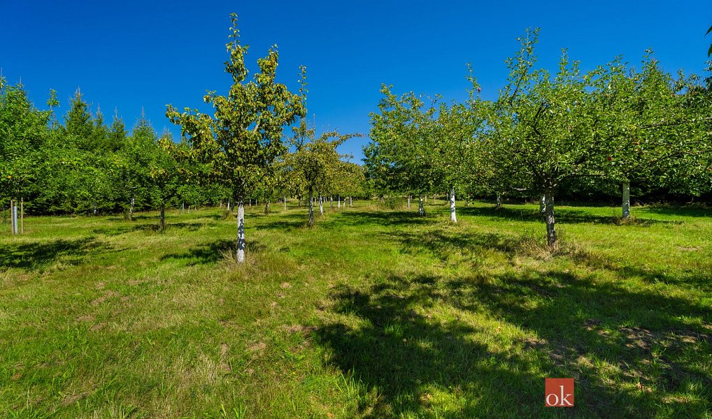 Prodej stavebního pozemku 12 049 m², Varnsdorf – náhled fotky 6