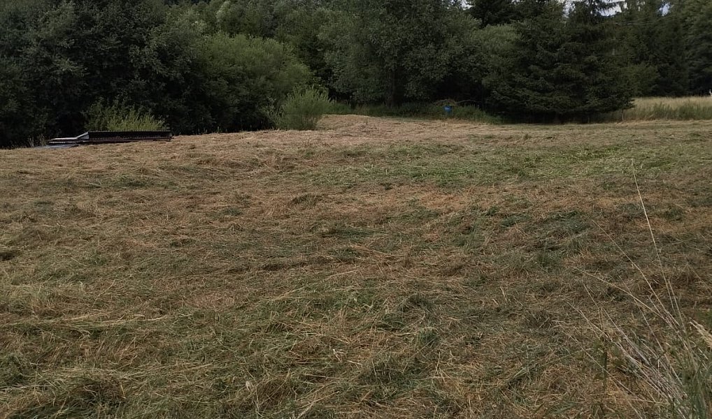 Pronájem louky 3 000 m², Líšťany – náhled fotky 4