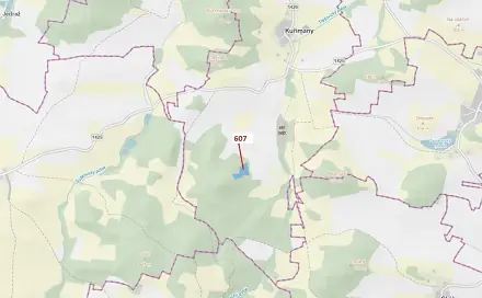 Dražba lesa 10 437 m², Kuřimany