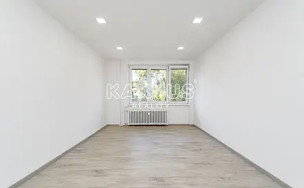 Pronájem bytu 1+1 36 m²