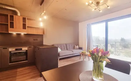 Pronájem bytu 2+kk 49 m², V rejích, Brno - Chrlice