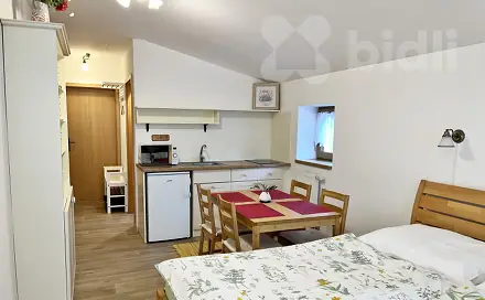 Pronájem bytu 1+kk 25 m²