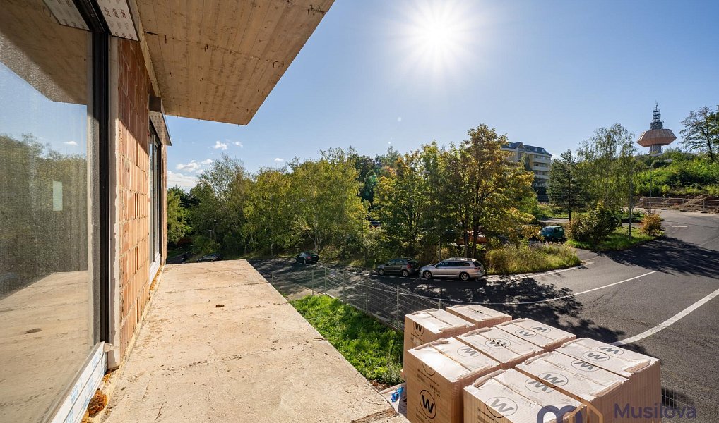 Prodej bytu 3+kk 90 m², Teplice – náhled fotky 9