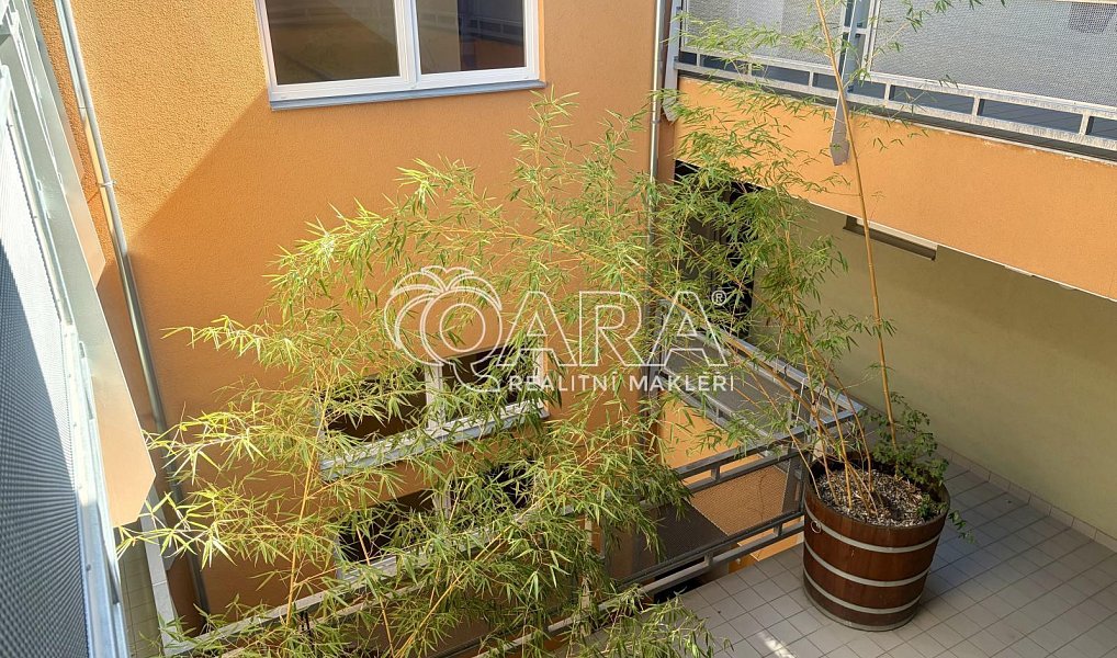 Pronájem bytu 2+kk 67 m², Praha – náhled fotky 8