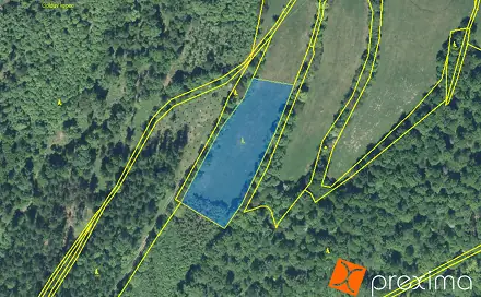 Prodej lesa 1 293 m², Jindřichov, okres Bruntál