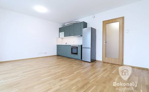 Pronájem bytu 1+kk 32 m², Šenácká, Praha 4 - Hodkovičky