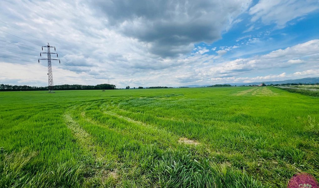 Prodej komerčního pozemku 29 280 m², Liboš – náhled fotky 2