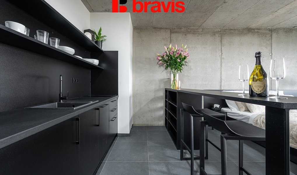 Pronájem bytu 1+kk 48 m², Brno – náhled fotky 4