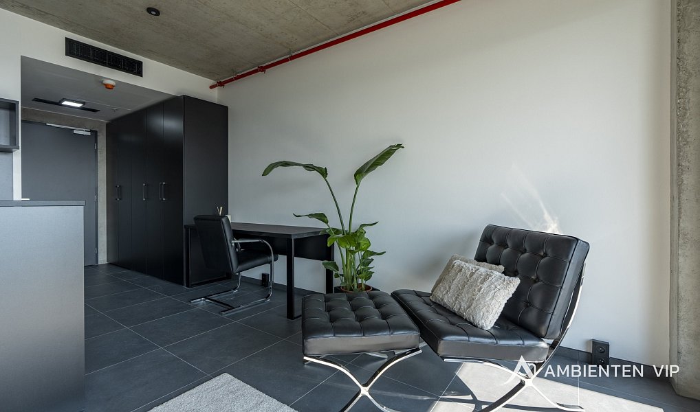 Pronájem bytu 1+kk 35 m², Brno – náhled fotky 13