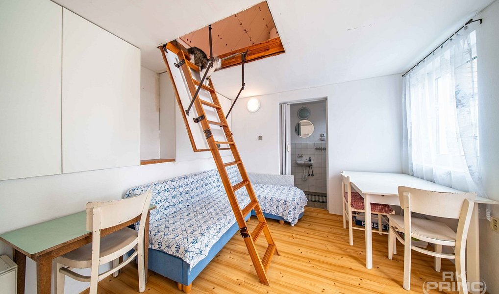Prodej domu 350 m² s pozemkem 1 295 m², Velký Bor – náhled fotky 12