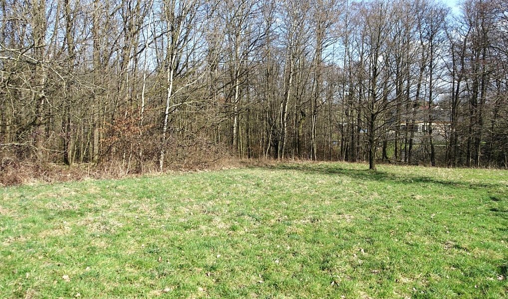 Prodej louky 6 013 m², Bohumín – náhled fotky 11