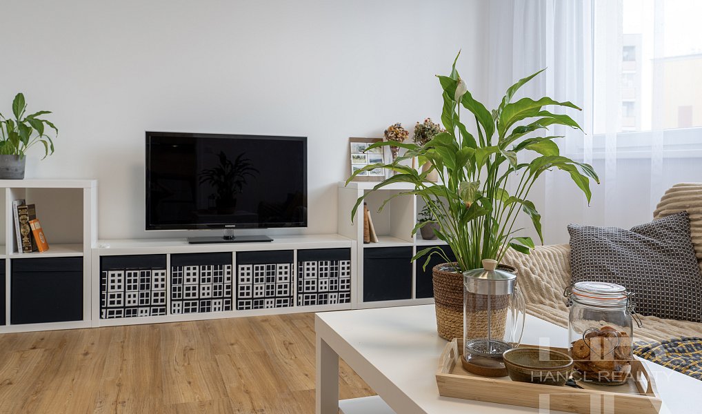 Pronájem bytu 3+1 60 m², Olomouc – náhled fotky 15