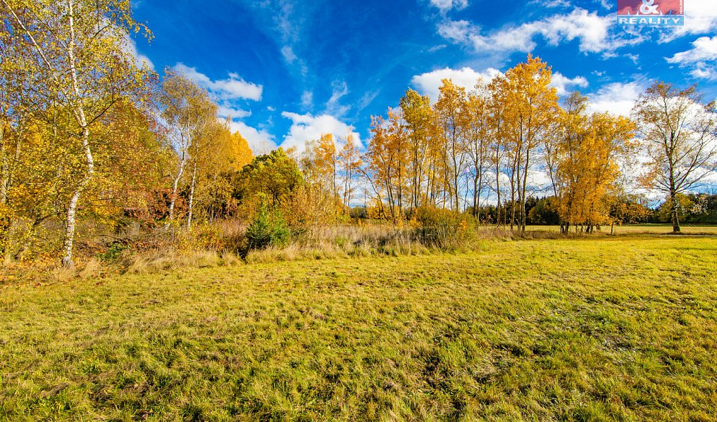 Prodej louky 1 072 m², Krsy – náhled fotky 10