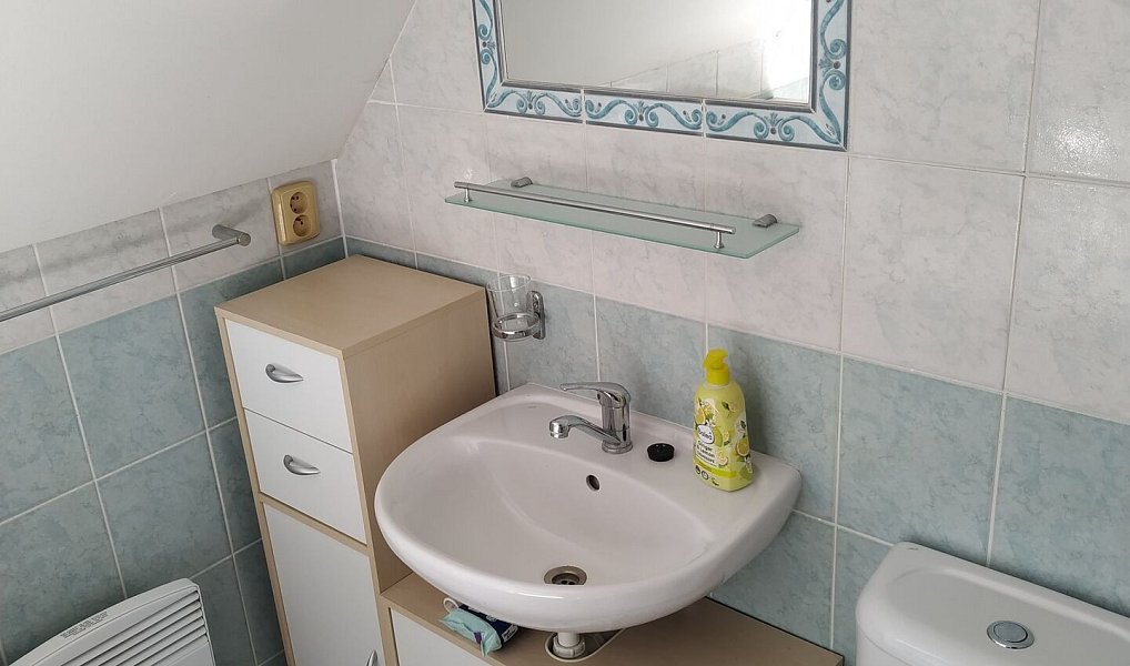 Prodej chaty/chalupy 150 m² s pozemkem 884 m², Koclířov – náhled fotky 21