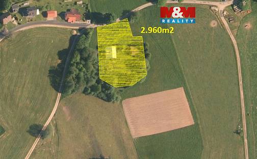 Prodej chaty/chalupy 130 m² s pozemkem 2 960 m², České Petrovice, okres Ústí nad Orlicí