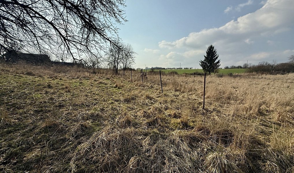 Prodej stavebního pozemku 880 m², Chudenice – náhled fotky 8