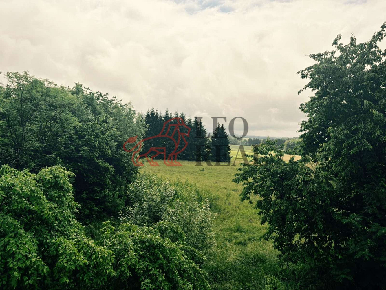 Prodej domu 400 m² s pozemkem 1 200 m² — photo 3