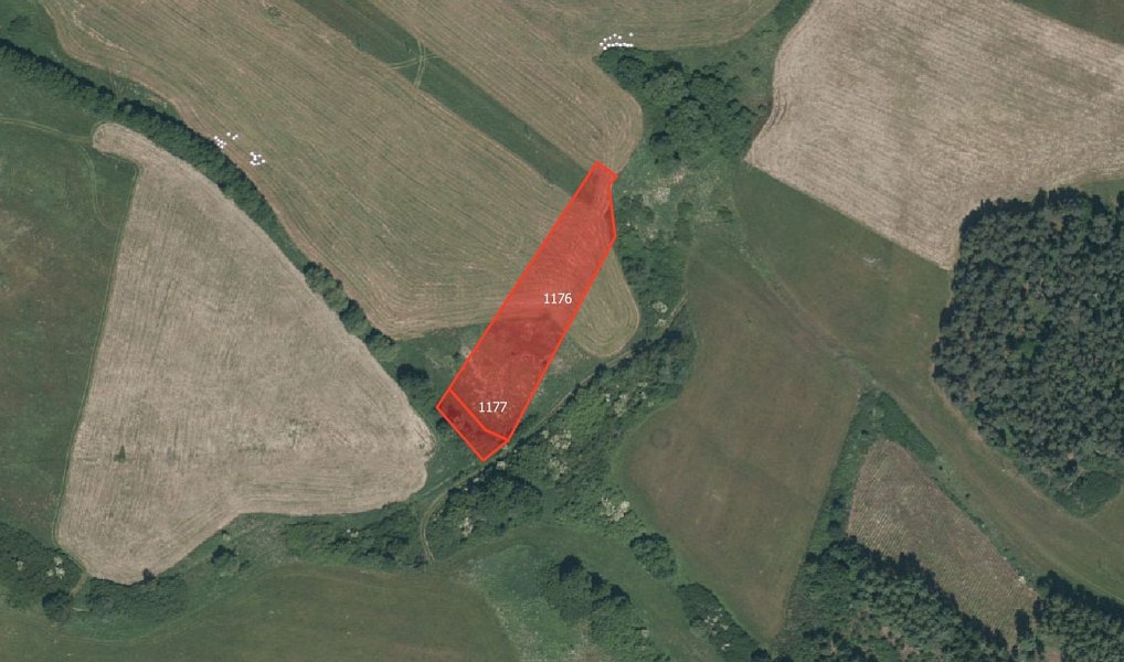 Prodej louky 4 740 m², Pačejov – náhled fotky 2