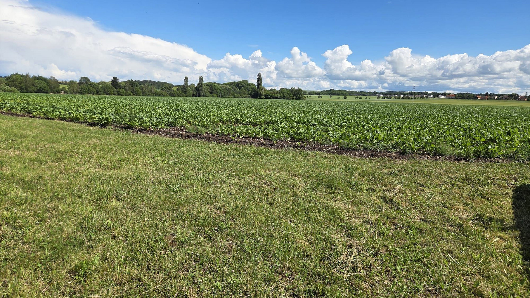 Prodej stavebního pozemku 1 140 m² – fotografie 4