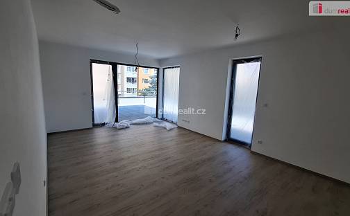 Pronájem bytu 2+kk 51 m², Plaská, Plzeň - Bolevec