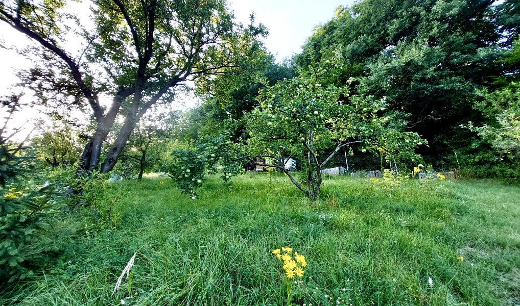 Prodej zahrady 514 m², Zlín – náhled fotky 9
