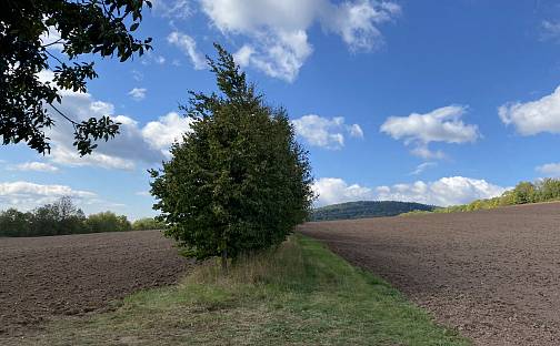Prodej pozemku 4 009 m², Lánov - Horní Lánov, okres Trutnov