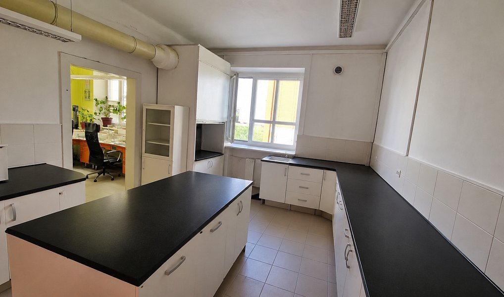 Prodej bytu 2+kk 57 m², Vítkov – náhled fotky 6