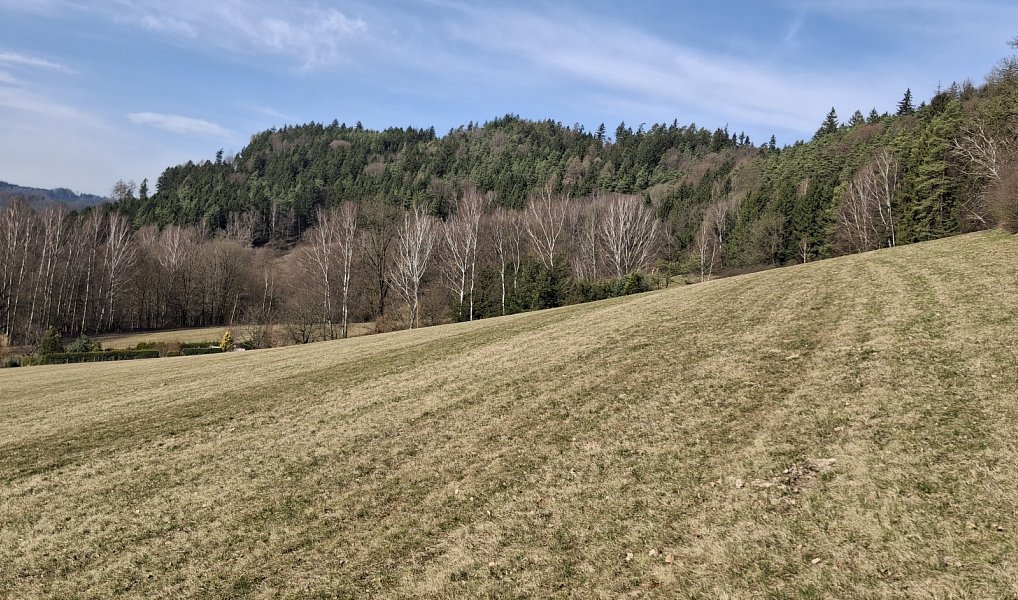 Prodej louky 49 647 m², Ústí nad Orlicí – náhled fotky 3