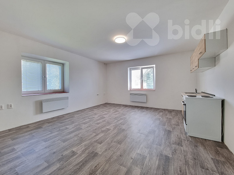 Pronájem bytu 1+kk 30 m² — photo 5