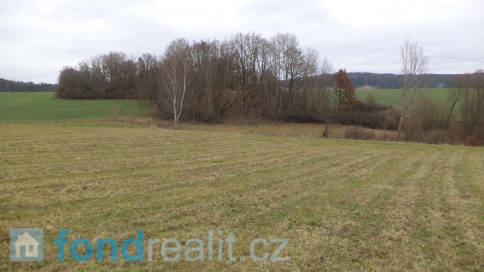 Prodej pole 12 056 m² – fotografie 5
