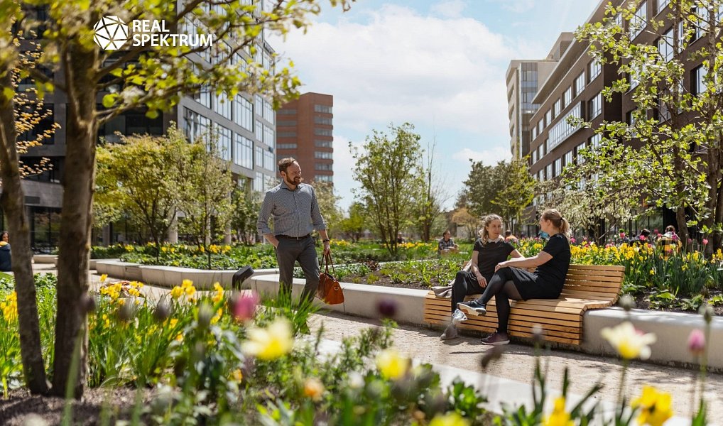 Pronájem kanceláře 213 m², Brno – náhled fotky 5