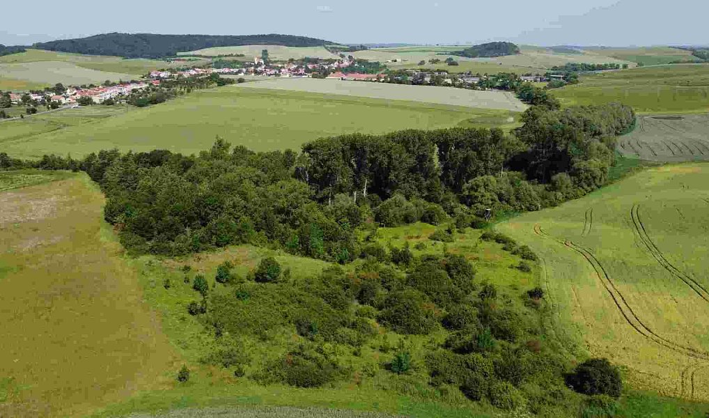 Prodej pole 3 134 m², Bučovice – náhled fotky 5