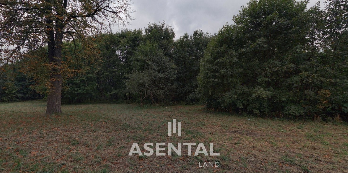 Prodej stavebního pozemku 12 324 m² – fotografie 3