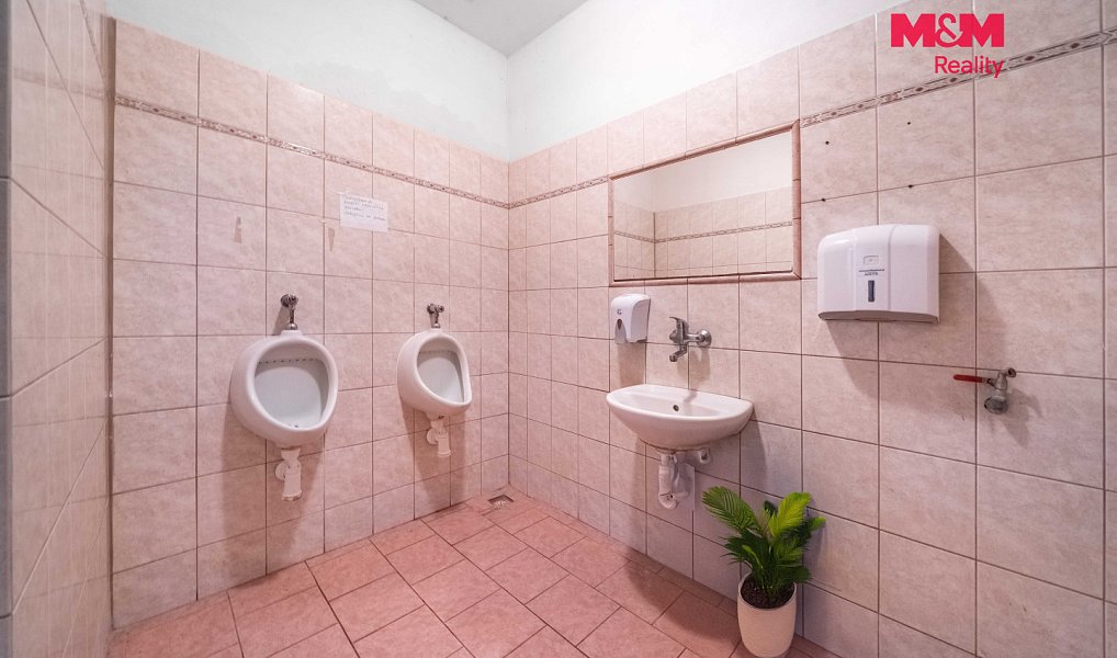 Prodej restaurace 275 m², Zvíkovec – náhled fotky 21