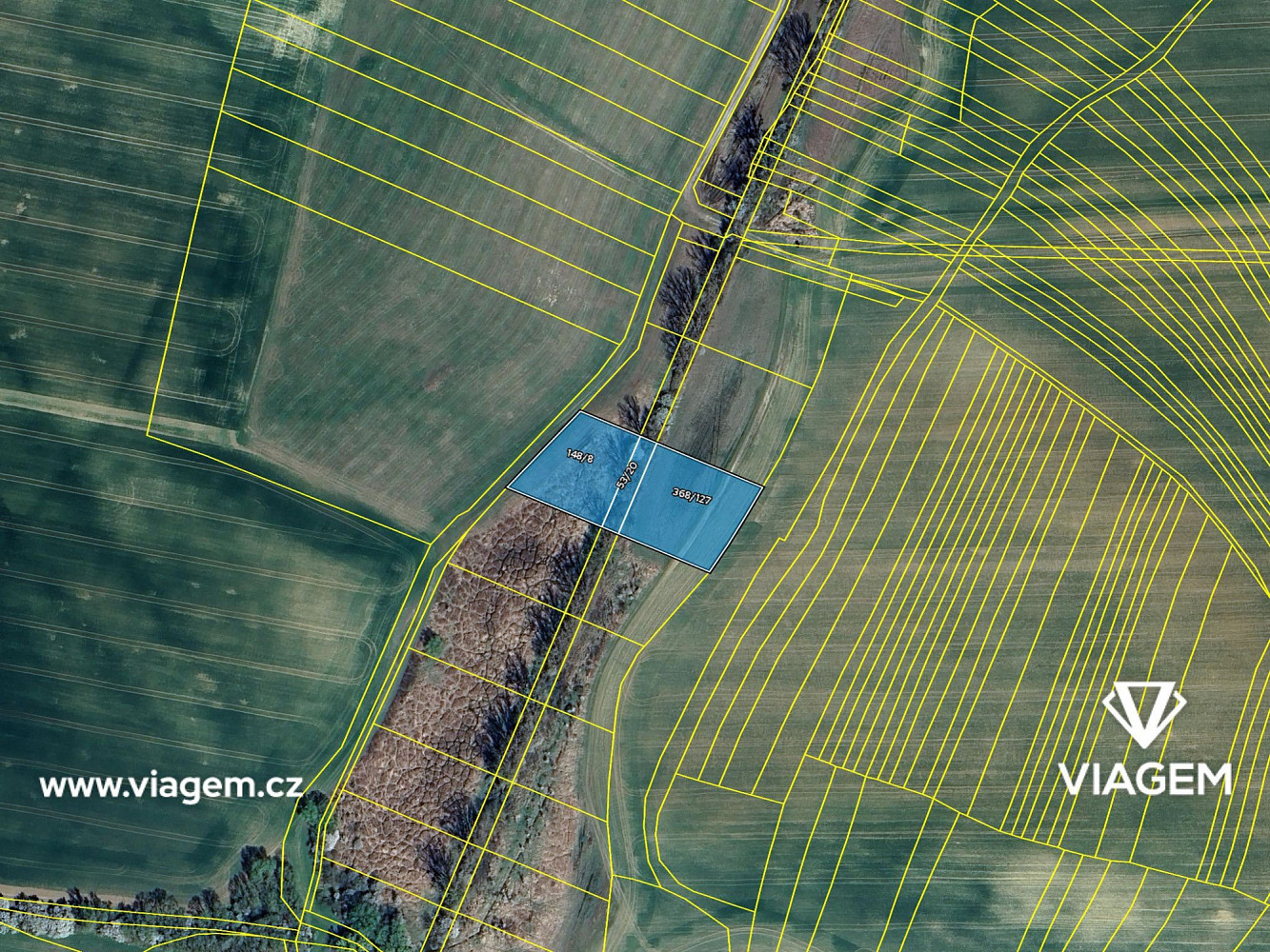 Prodej pole 2 669 m² – fotografie 4