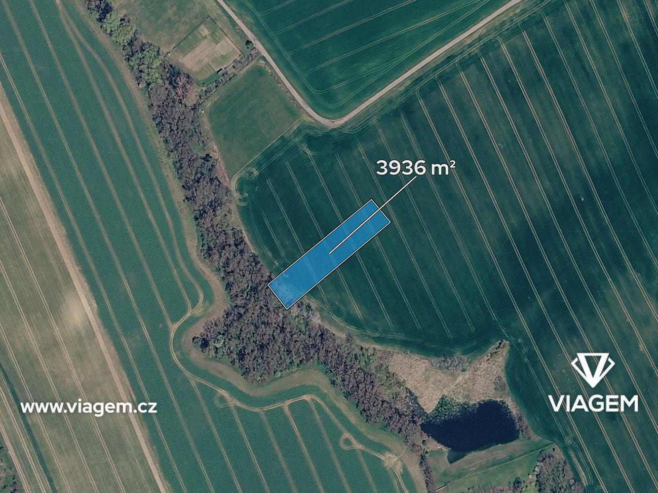 Prodej pole 1 312 m² — photo 2