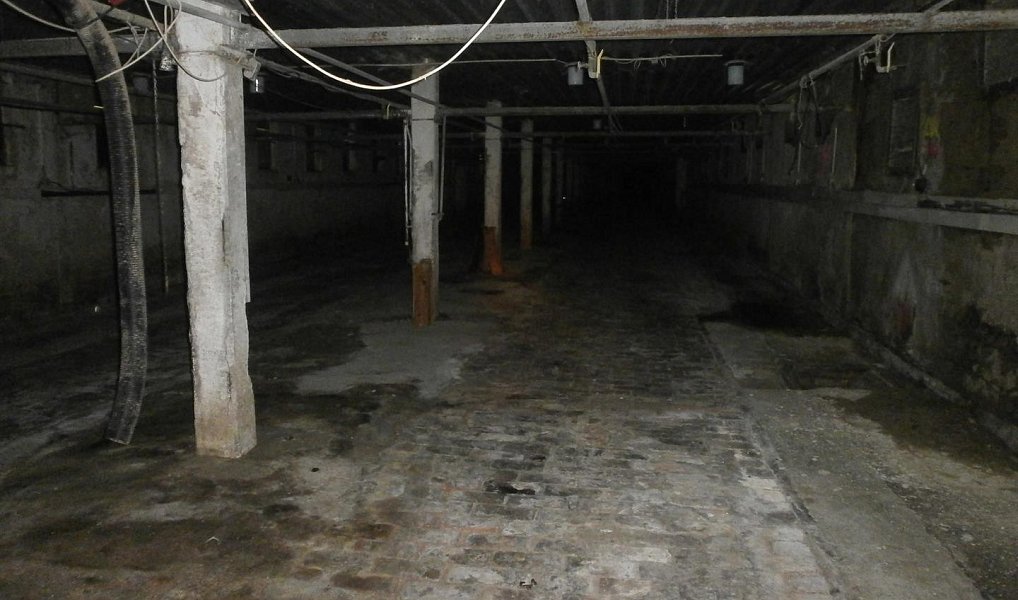 Prodej zemědělského objektu 21 811 m², Šternberk – náhled fotky 17