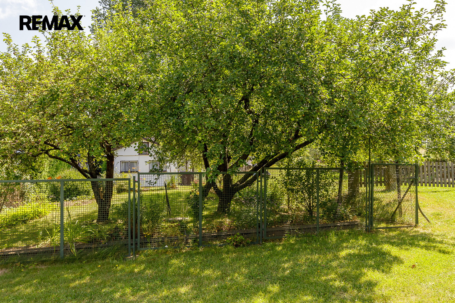 Prodej chaty/chalupy 36 m² s pozemkem 338 m² — photo 4